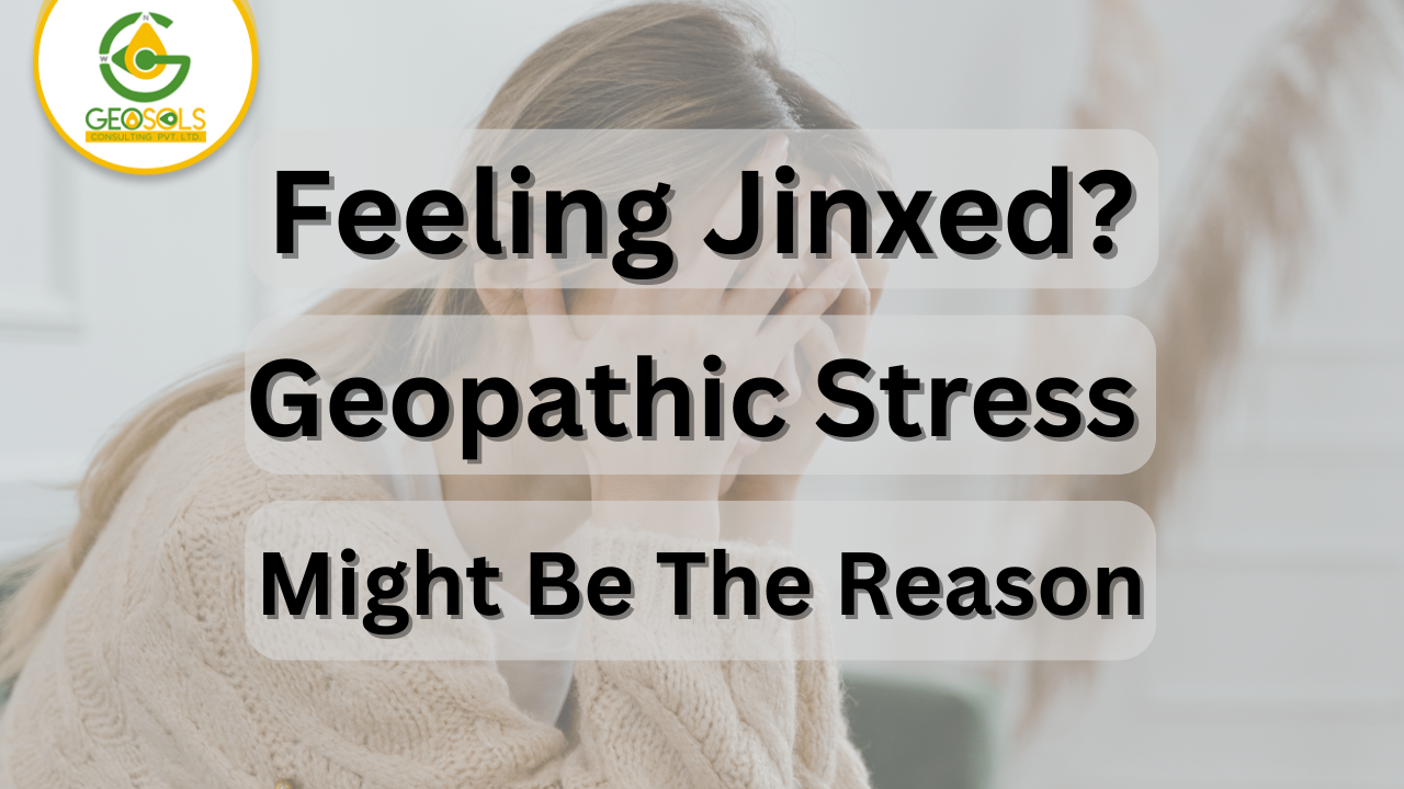 Feeling Jinxed? Geopathic Stress