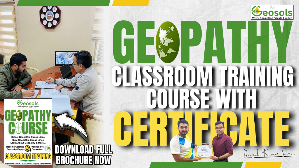 Geopathy Classroom Training Course With Certificate