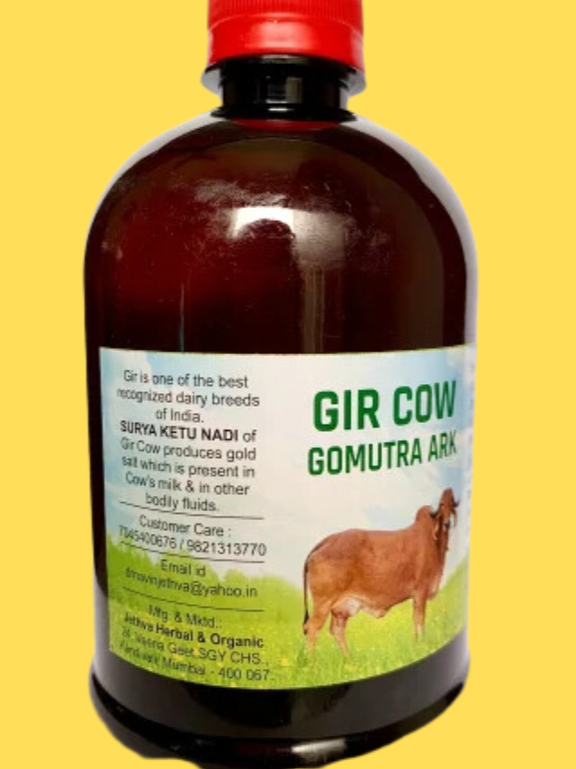 Benefits of using cow urine